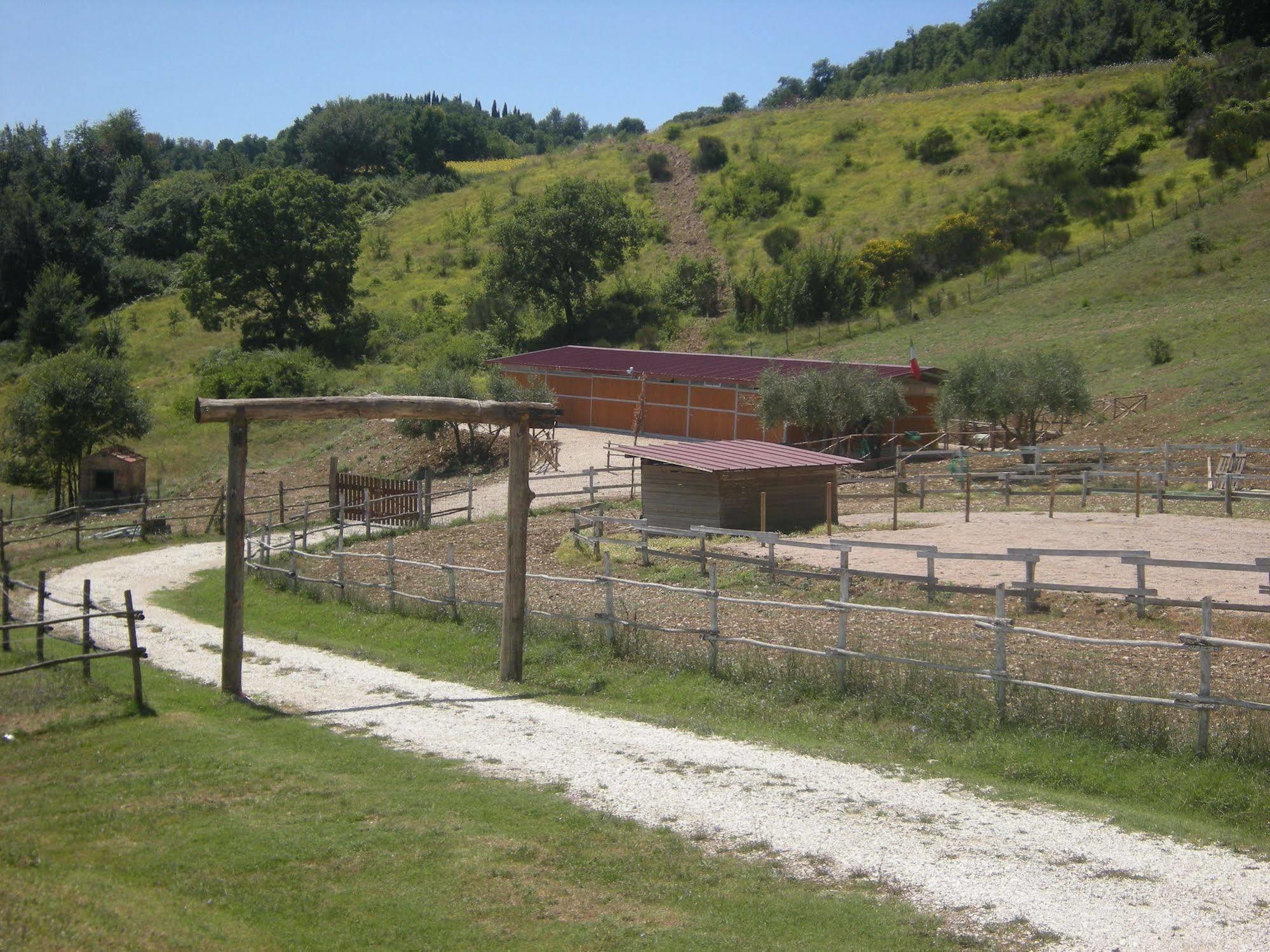 Agriturismo Goccia Di Luna 움베티드 외부 사진