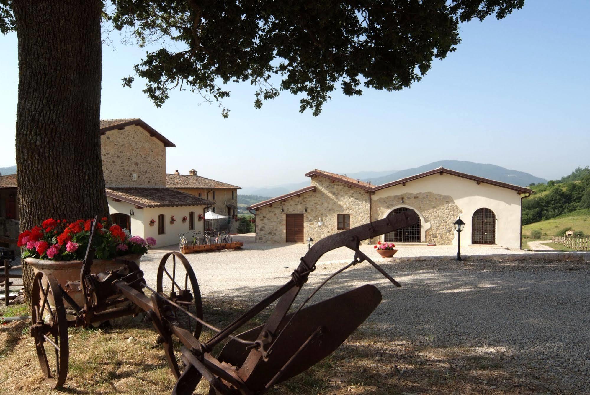 Agriturismo Goccia Di Luna 움베티드 외부 사진