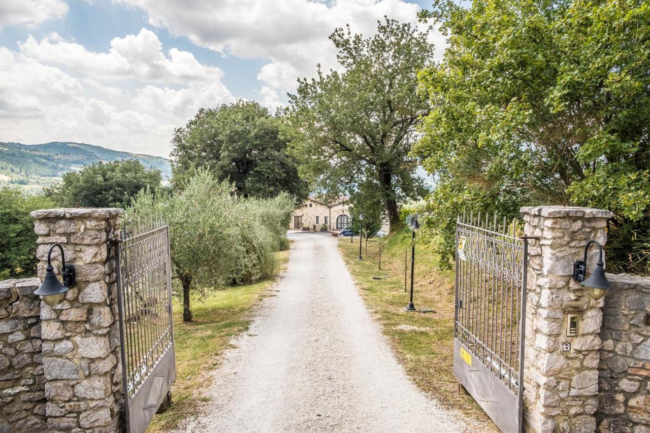 Agriturismo Goccia Di Luna 움베티드 외부 사진