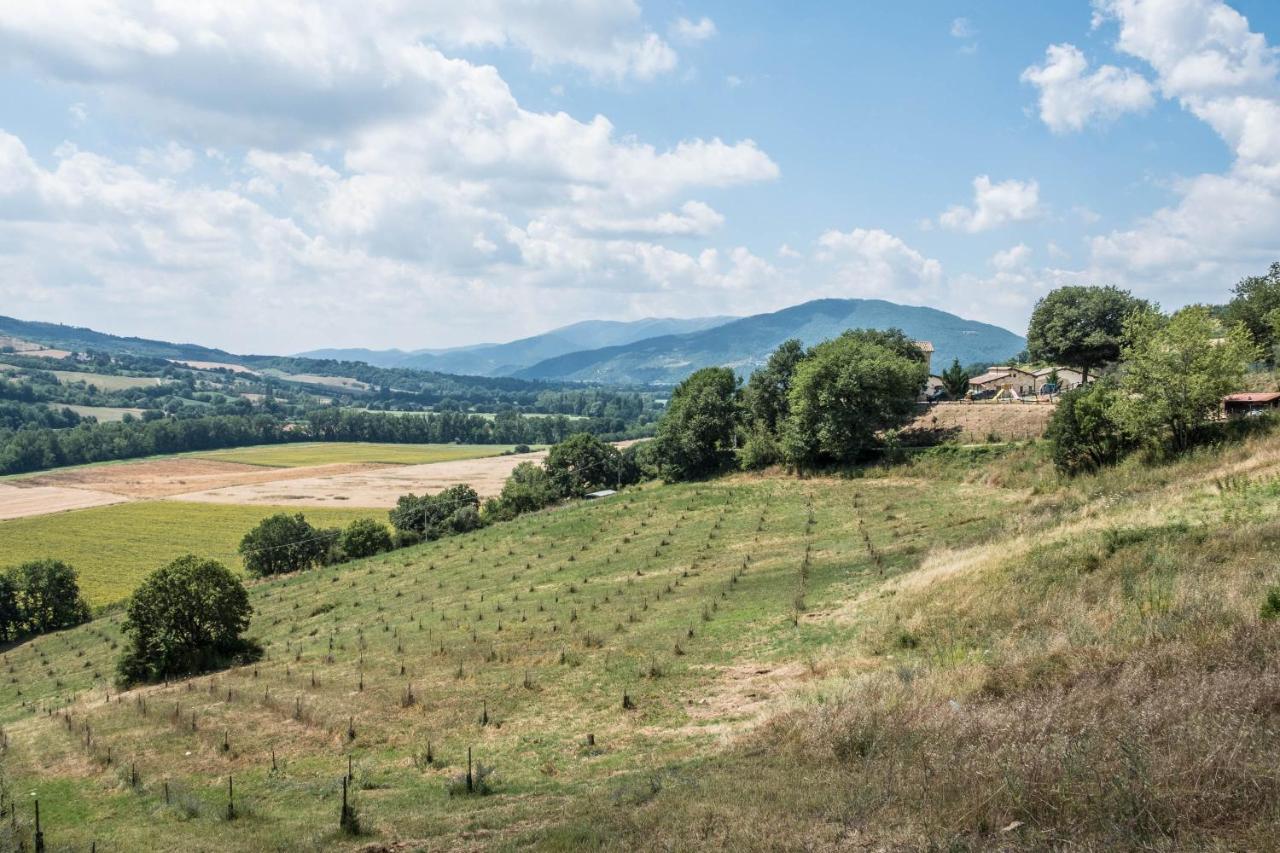 Agriturismo Goccia Di Luna 움베티드 외부 사진