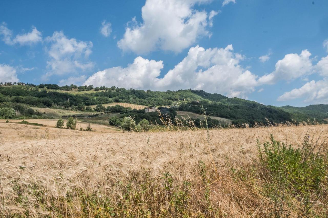 Agriturismo Goccia Di Luna 움베티드 외부 사진