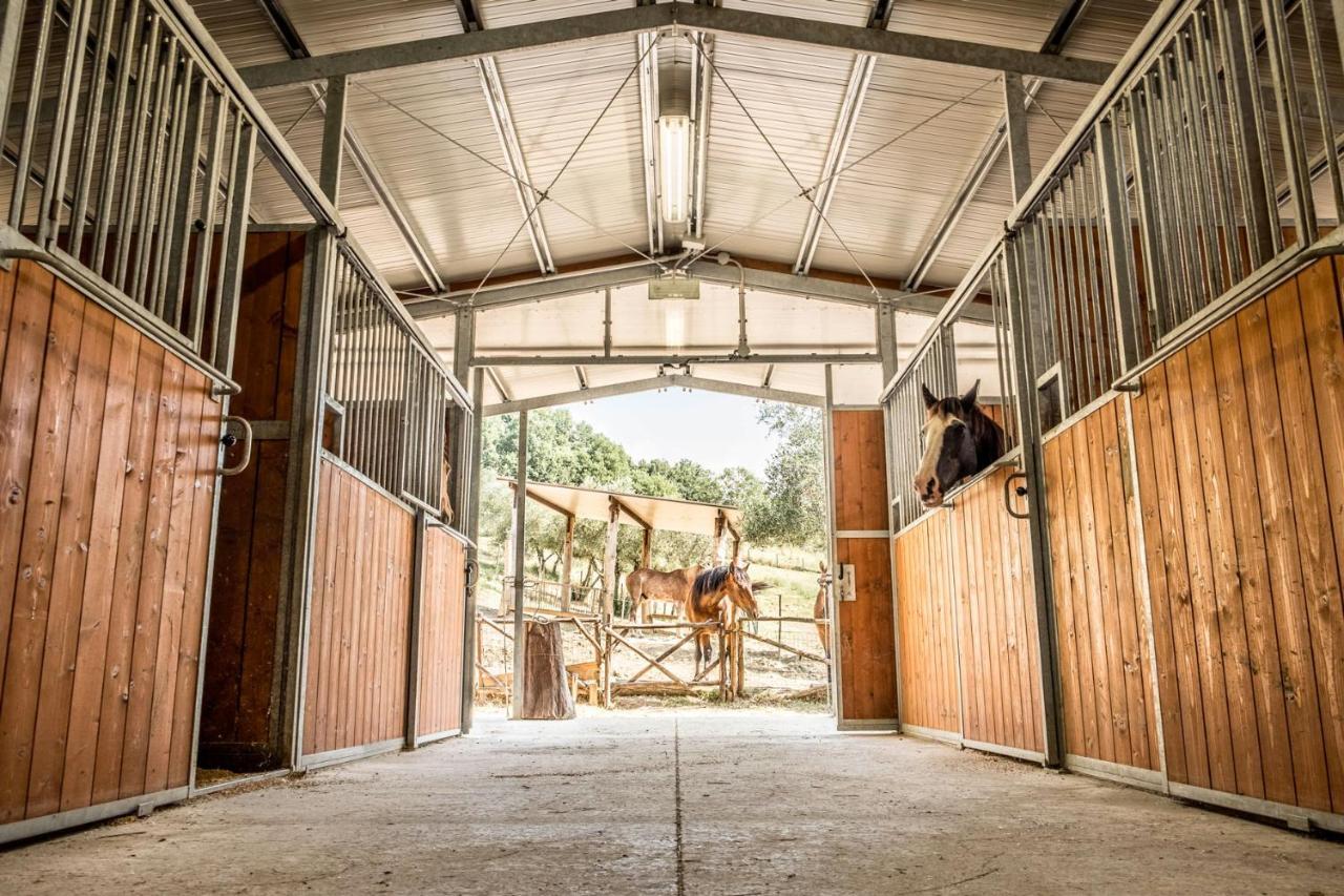 Agriturismo Goccia Di Luna 움베티드 외부 사진